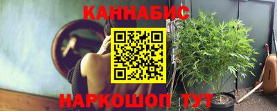 сатива Бузулук