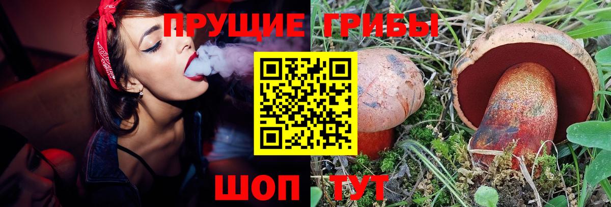 Галлюциногенные грибы MAGIC MUSHROOMS  Вход с VPN  Магнитогорск  Псилоцибиновые грибы мухоморы 